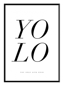 yolo poster